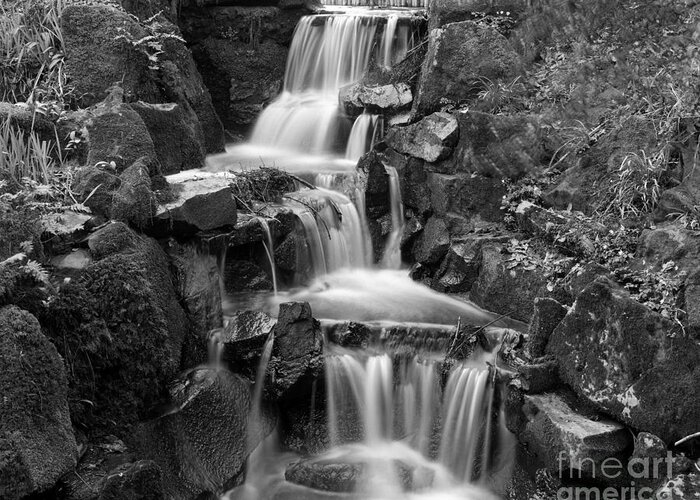 Waterfall Greeting Card featuring the photograph Clyne park waterfall by Paul Cowan