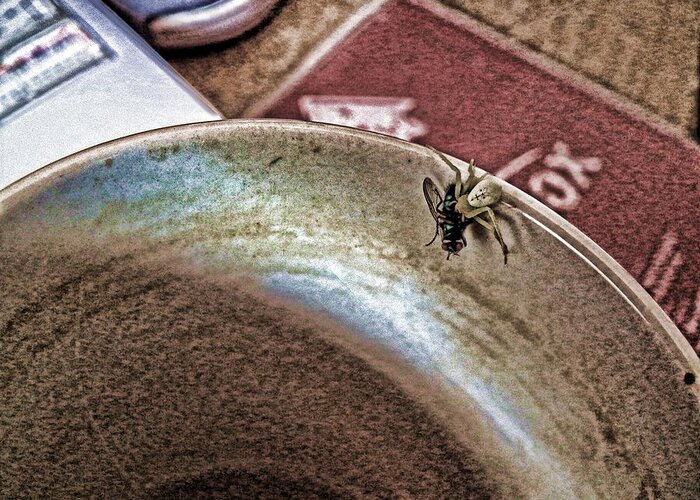 Spider Greeting Card featuring the digital art Coffee Cup Spider Fly Oh MY by Robert Rhoads