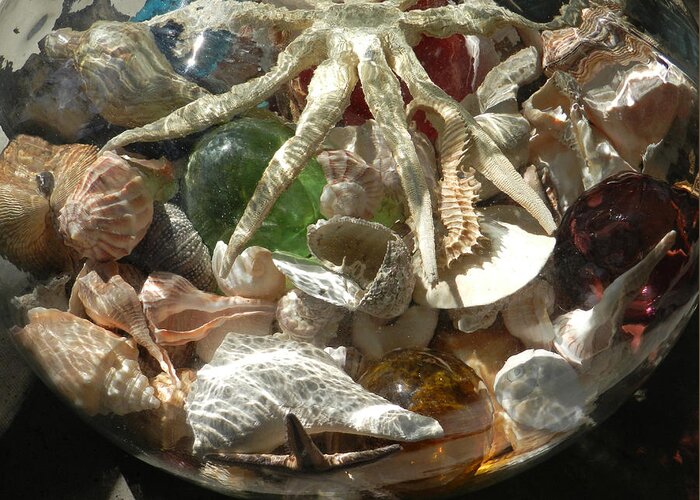 Seashells Greeting Card featuring the photograph Collection in Jar by Deborah Ferree