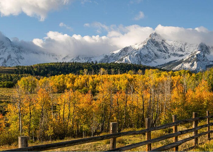Autumn Greeting Card featuring the photograph Colorado Gold - Dallas Divide by Aaron Spong