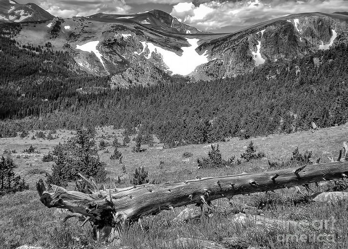 Colorado Greeting Card featuring the photograph Colorado Mountains by Paul Quinn