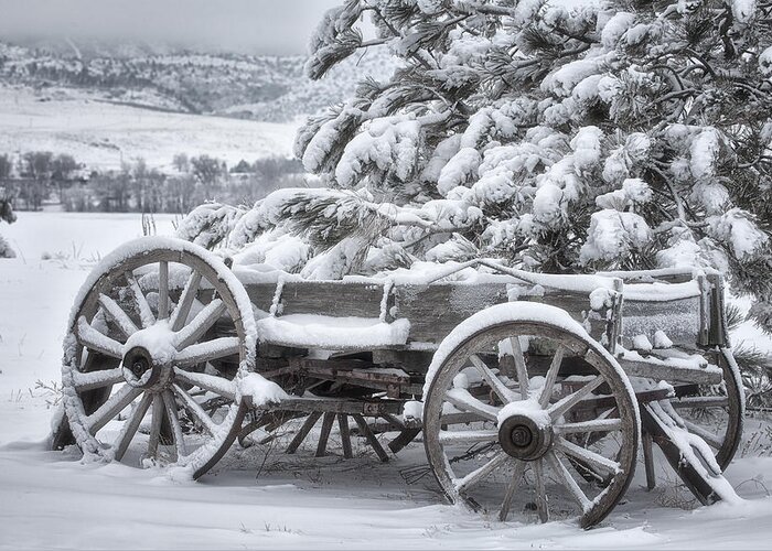 Snow Greeting Card featuring the photograph Colorado Wagon by Darren White
