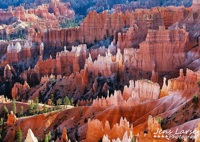 Bryce Canyon Greeting Card featuring the photograph Colorful Bryce Canyon by Jens Larsen