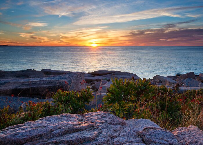 Acadia Greeting Card featuring the photograph Colors of Sunrise by Darylann Leonard Photography
