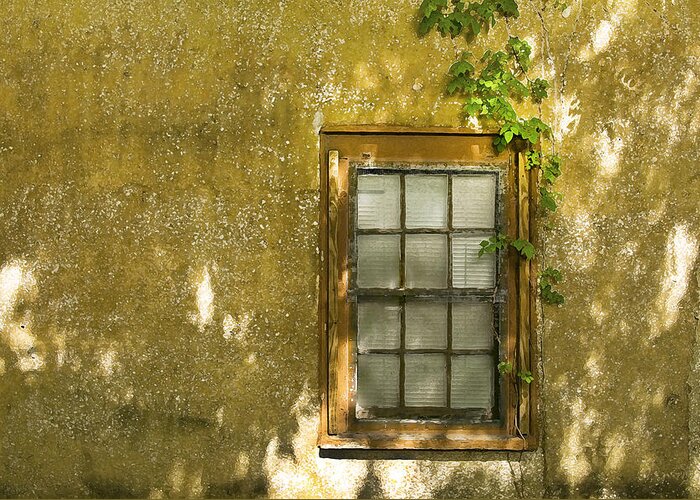 Coquina Greeting Card featuring the photograph Coquina Wall and Window by Rich Franco