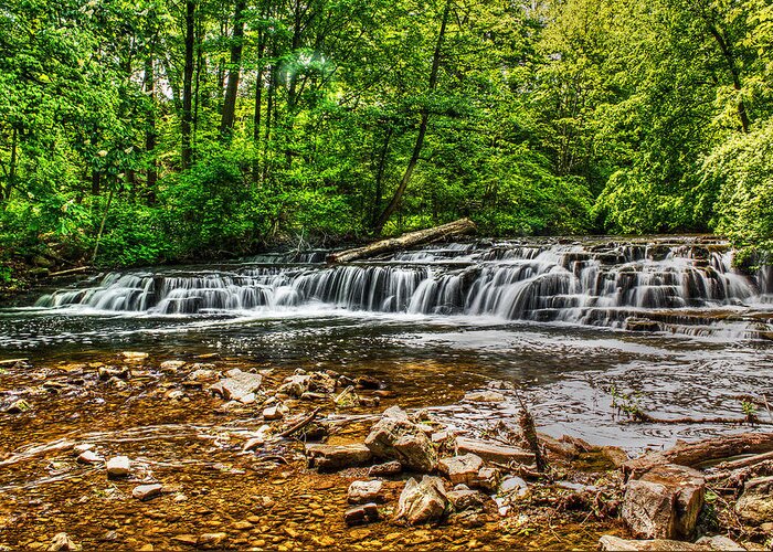 Creek Greeting Card featuring the photograph Corbett's Glen Waters by Tim Buisman