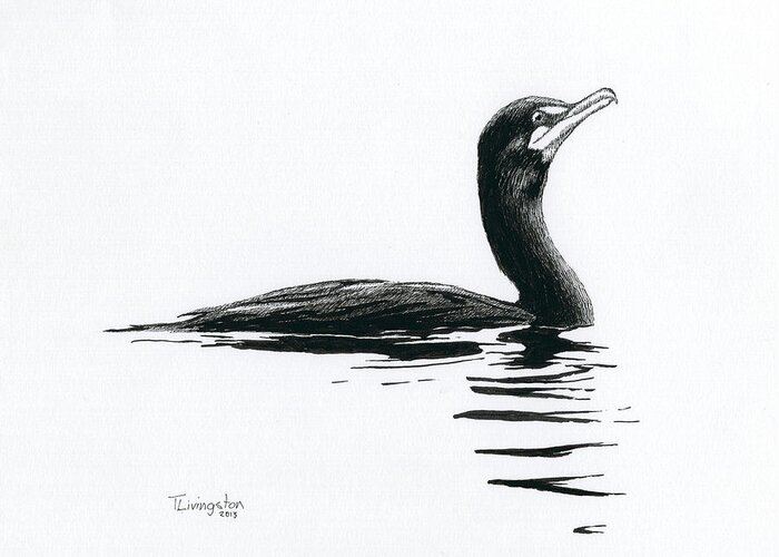 Cormorant Greeting Card featuring the drawing Cormorant by Timothy Livingston