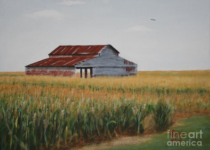 Cornfield Greeting Card featuring the painting Cornfield Barn by Jimmie Bartlett