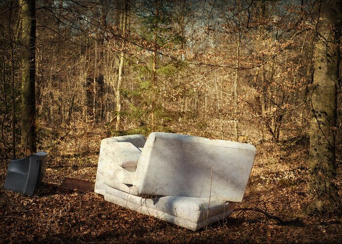 Strange Greeting Card featuring the photograph Couch and TV in the forest by Matthias Hauser