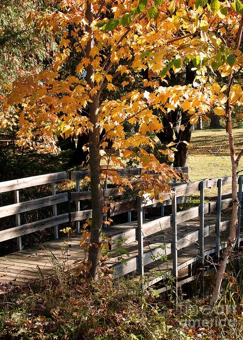 Fall Colors Greeting Card featuring the photograph Country Bridge by Gwen Gibson