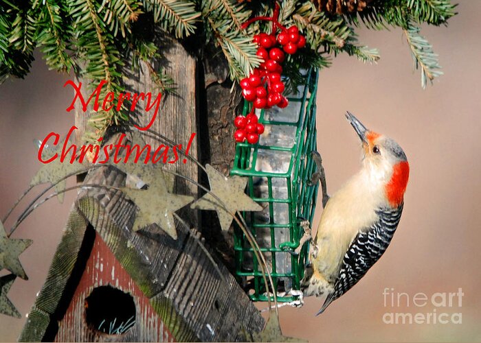 Nava Jo Thompson Greeting Card featuring the photograph Country Christmas Card by Nava Thompson