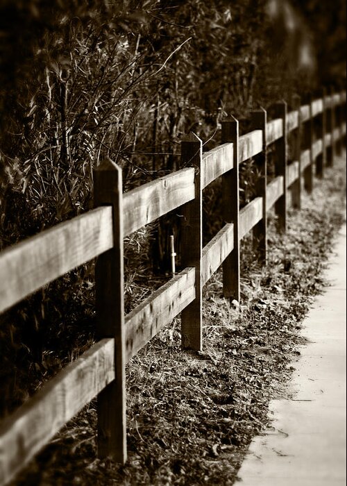 Sepia Greeting Card featuring the photograph Country Fence Sepia by Kathleen Messmer