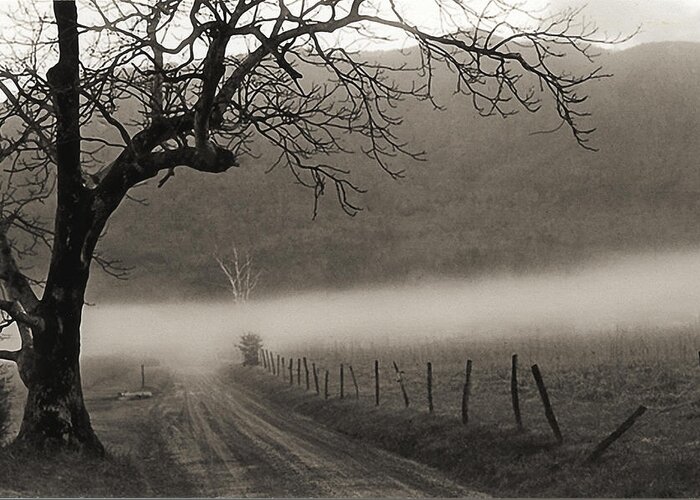 Sepia Greeting Card featuring the photograph Country Road by Elvira Butler