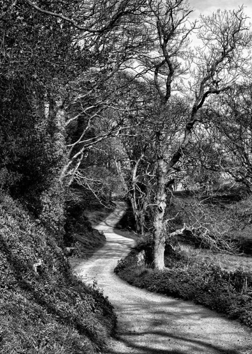 Country Greeting Card featuring the photograph Country road by Jim Orr