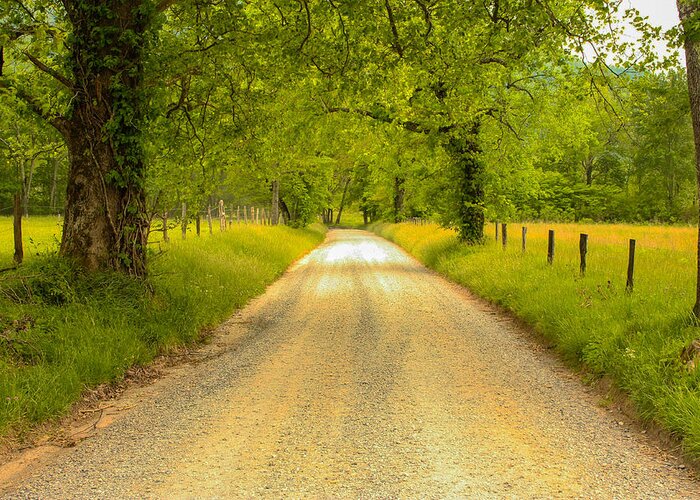 Country Road Greeting Card featuring the photograph Country Road by Robert Hebert