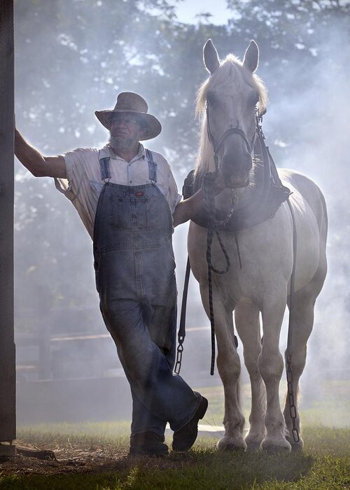 Horse Greeting Card featuring the photograph Covered in Smoke by Don Schroder