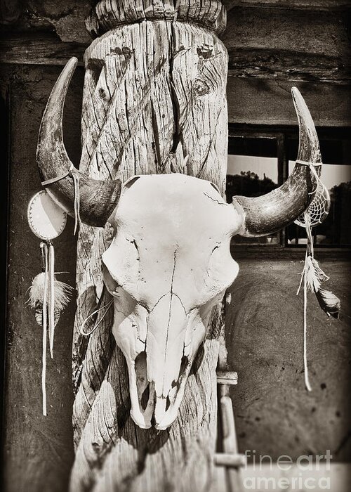 Cow Skull Greeting Card featuring the photograph Cow skull by Bryan Mullennix