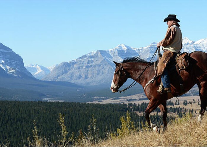 Cowboy Greeting Card featuring the photograph Cowboy Riding With A View Of The Rocky by Deb Garside