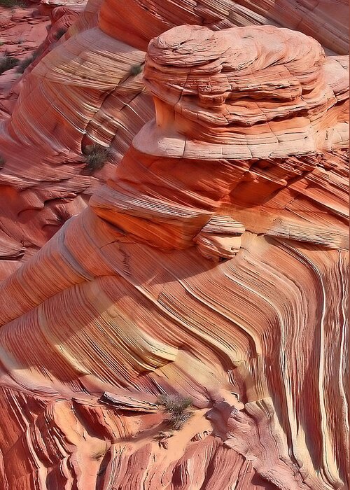 Coyote Buttes Greeting Card featuring the photograph Coyote Buttes by Farol Tomson