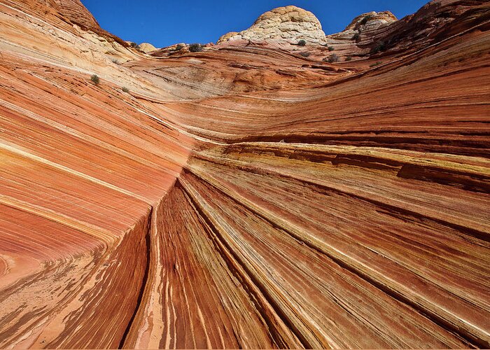 Scenics Greeting Card featuring the photograph Coyote Buttes by Thomas Roche