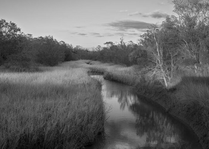 Landscape Greeting Card featuring the photograph Creek at Wilmington Island by Frank Bright