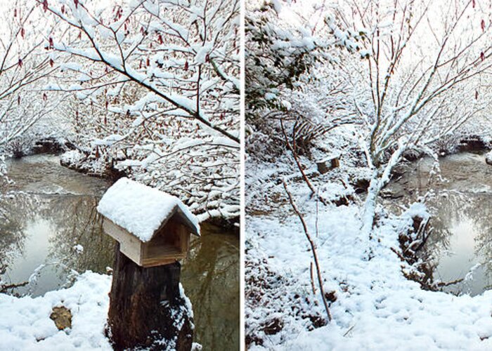 Stereo Greeting Card featuring the photograph Creekside Snow in Stereo by Duane McCullough