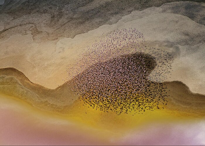 Lake Greeting Card featuring the photograph Crossing Natron Lake by Phillip Chang