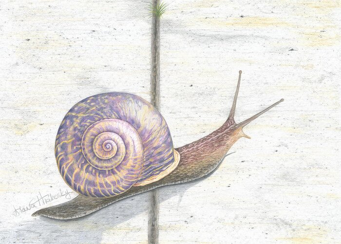 Snail Greeting Card featuring the drawing Crossing the Finish Line by Diana Hrabosky