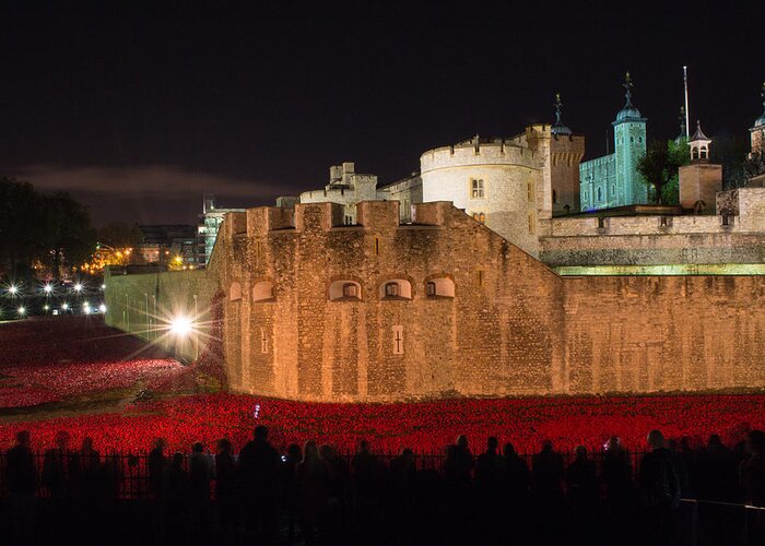 Tower Of London Greeting Card featuring the photograph Crowded Poppies by Andrew Lalchan