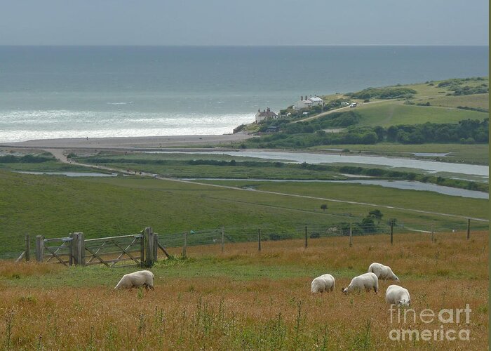 Cuckmere Haven Greeting Card featuring the photograph Cuckmere Haven View - Sussex - England by Phil Banks