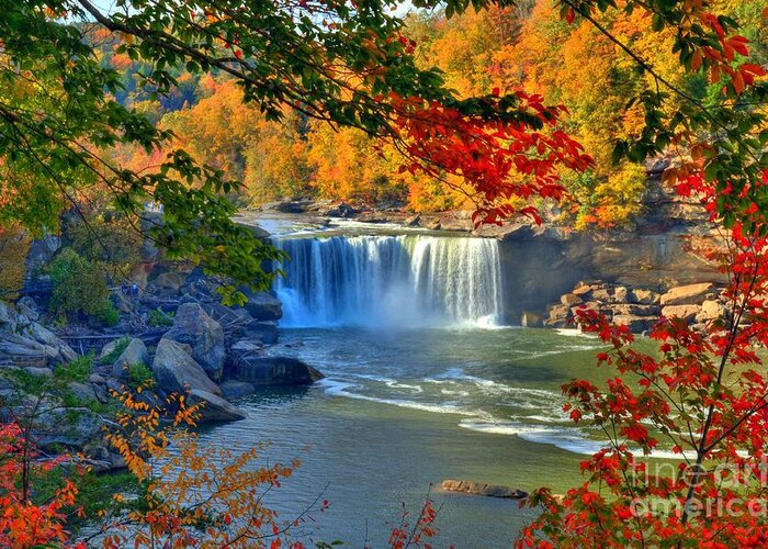 Kentucky Greeting Card featuring the photograph Cumberland Falls In Autumn 2 by Mel Steinhauer