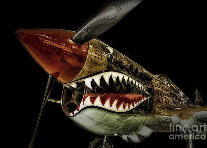 Ine Art Photography Greeting Card featuring the photograph Curtiss P40 Warhawk ... by Chuck Caramella