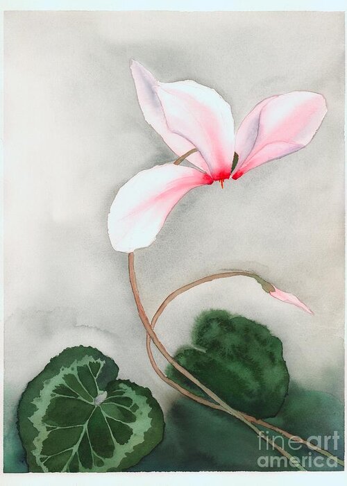 Floral Greeting Card featuring the painting Cyclamen Dancer by Hilda Wagner