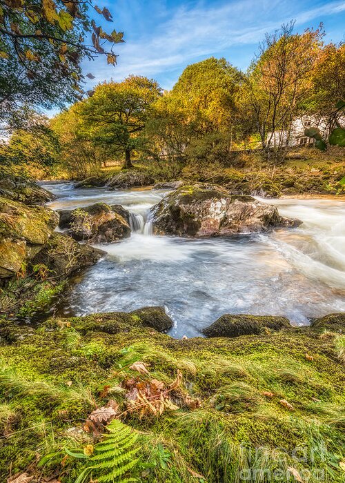 Betws Y Coed Greeting Card featuring the photograph Cyfyng Falls by Adrian Evans