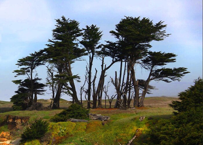 Seascape Art Greeting Card featuring the photograph Cypress California Style by Kandy Hurley