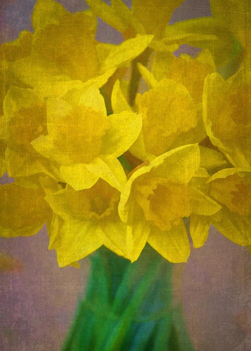 Floral Greeting Card featuring the photograph Daffodils 10 by Pamela Cooper