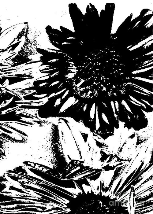 Daisy Greeting Card featuring the photograph Daisy Crop BW Threshold by Heather Kirk