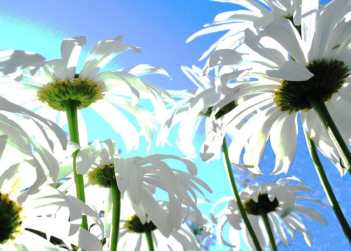 Flowers Greeting Card featuring the photograph Daisy Dance by Derek Dean