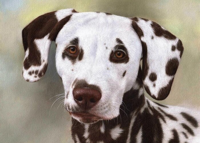 Dog Greeting Card featuring the painting Dalmatian Painting by Rachel Stribbling
