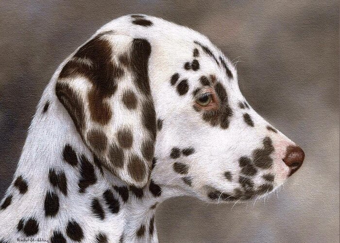 Dog Greeting Card featuring the painting Dalmatian Puppy Painting by Rachel Stribbling