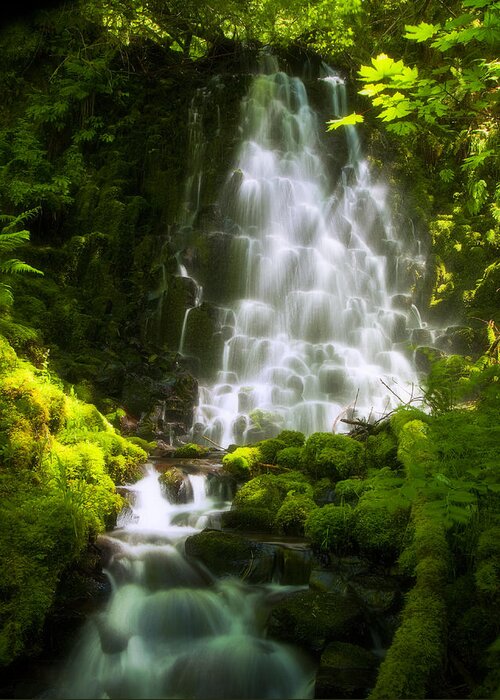 Waterfall Greeting Card featuring the photograph Dancing in the Sunlight by Jon Ares