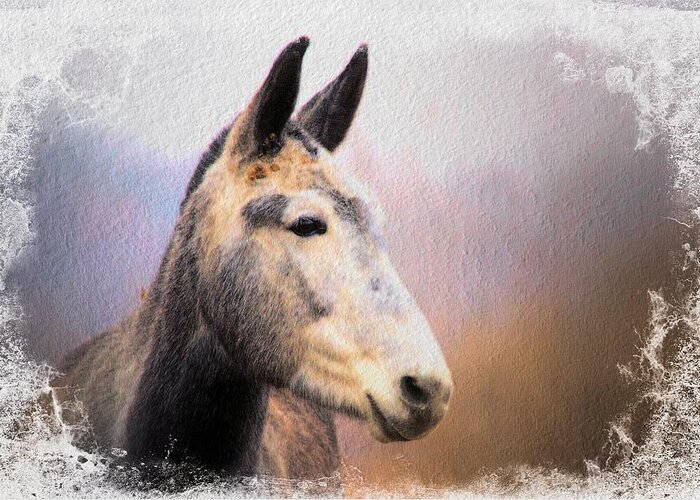 Equine Greeting Card featuring the photograph Dappled Mare by Bonfire Photography