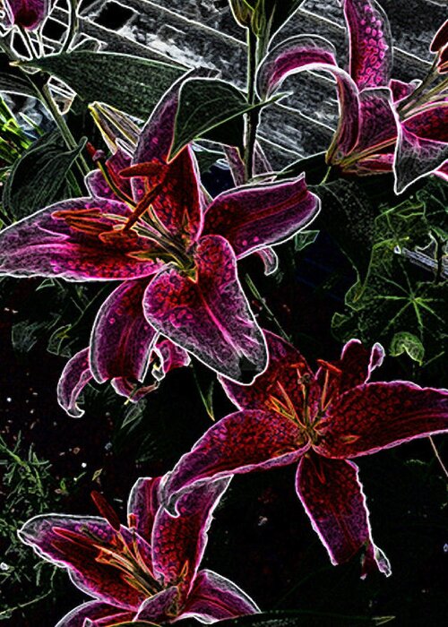 Flowers Greeting Card featuring the photograph Dark Lillies by Ann Tracy