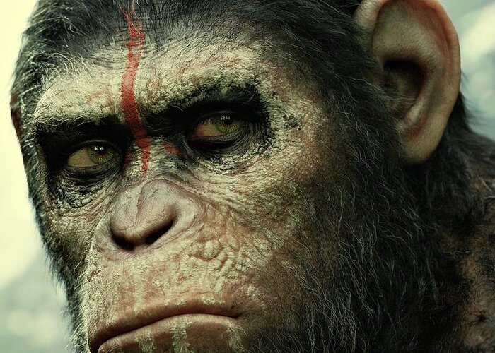 Apes Greeting Card featuring the photograph Dawn of the Planet of the Apes by Movie Poster Prints