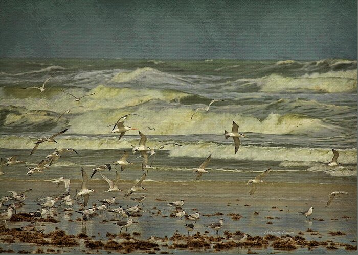 Terns Greeting Card featuring the photograph Day For The Birds by Deborah Benoit