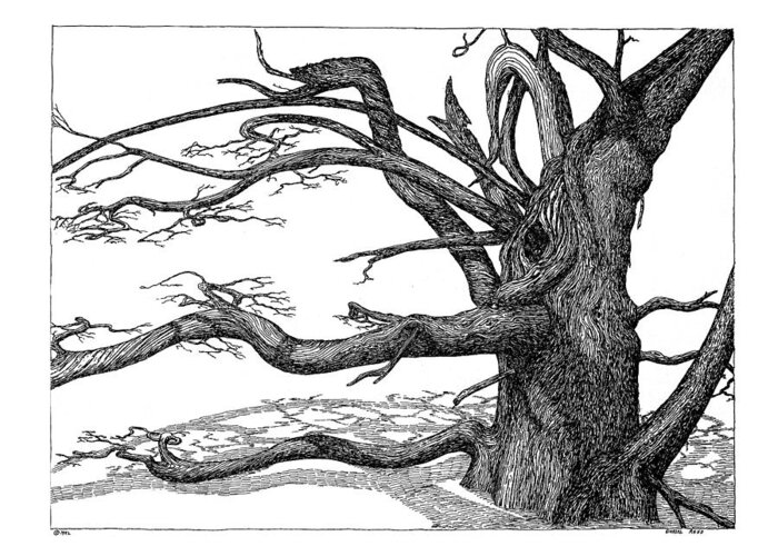 Nature Greeting Card featuring the drawing Dead Tree by Daniel Reed