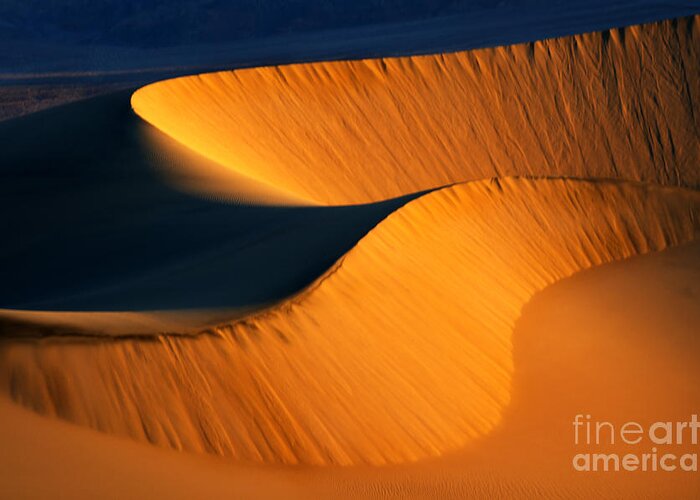 Death Valley Greeting Card featuring the photograph Death Valley California Gold by Bob Christopher