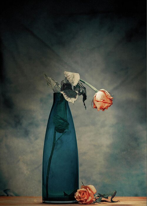 Rose Greeting Card featuring the photograph Decay - Dying Rose by Howard Ashton-jones