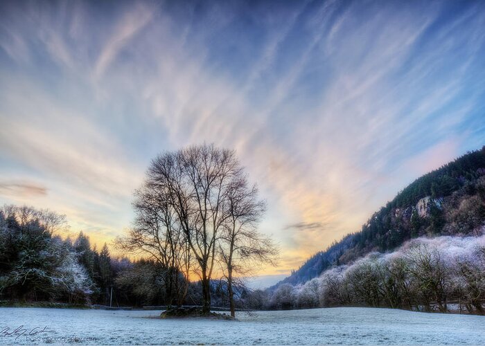 Winter Greeting Card featuring the photograph Deep frost by B Cash