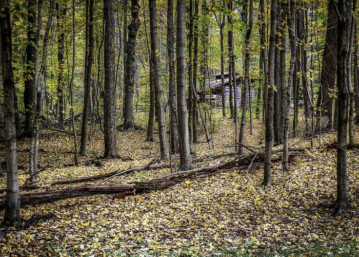 Autumn Greeting Card featuring the photograph Deep Woods Cabin by Tom Mc Nemar